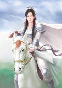 银戒官途